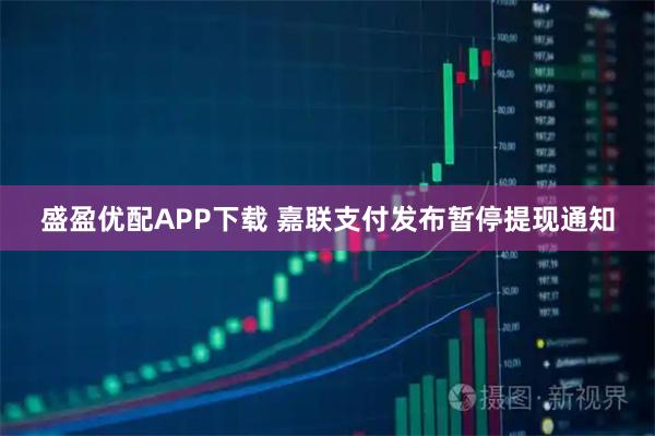 盛盈优配APP下载 嘉联支付发布暂停提现通知