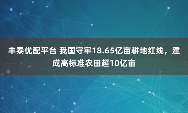 丰泰优配平台 我国守牢18.65亿亩耕地红线，建成高标准农田超10亿亩